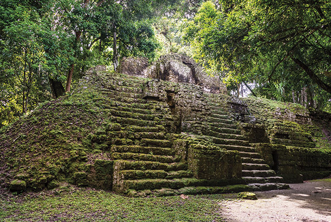 Mayan ruins covered in plants